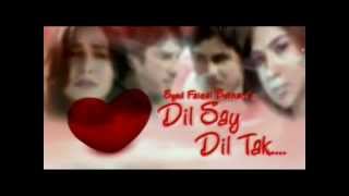 Dilse dil tak PTV home drama Official song SHAAKII [upl. by Ardnatal214]