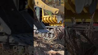 New CAT330 excavator loading its last brush load of the day caterpillarexcavator cat330 [upl. by Yate]