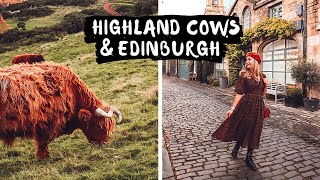 Scotland Road Trip  Edinburgh Travel Vlog [upl. by Enytnoel11]