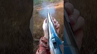 Shooting old single barrel 16 gauge shotgun pov shorts short shortsfeed [upl. by Nedloh]