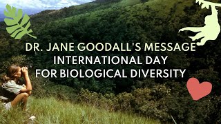 Dr Jane Goodalls Message for International Day for Biological Diversity 2023 [upl. by Jobyna]