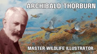 Archibald Thorburn Celebrating the Artistic Legacy of a Master Wildlife Illustrator [upl. by Atirabrab]