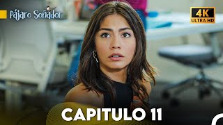 Pájaro Soñador Capítulo 11 Doblado En Español 4K [upl. by Eltsirc]