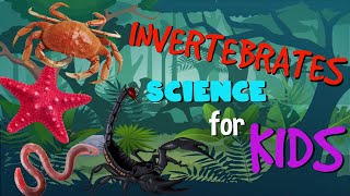 Invertebrates or Animals without Backbone  Science for Kids [upl. by Daus]