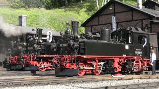 Dampfspektakel auf schmaler Spur  Pfingsten auf der Preßnitztalbahn 4K [upl. by Narah438]