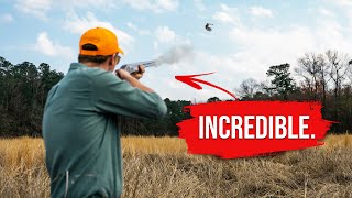 My First Quail Hunt  George Hi Plantation in North Carolina [upl. by Welcher641]