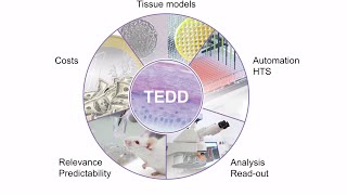 Tissue Engineering for Drug Development and Substance Testing at ZHAW in Waedenswil [upl. by Ahsein]