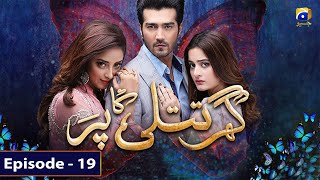 Ghar Titli Ka Par Episode 19  Aiman Khan  Shahzad Sheikh  Har Pal Geo [upl. by Eadie]