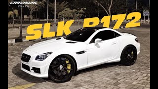 Mercedes Benz SLK R172 200 [upl. by Loralie]