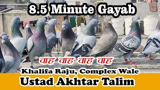 Ustad Akhtar K Khalifa RAJU Complex Walo K 225 Kabutar 8 Minutes Gayab Mandaoli New Delhi [upl. by Cardie831]