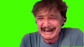 Pedro Pascal Crying Green Screen [upl. by Kingsly115]