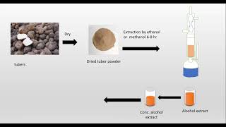 Isolation and identification Diosgenin from Dioscorea [upl. by Vance59]