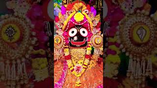 Odia Jagannath Bhajan Status  Jagannath Bhajan youtubeshorts shorts jagannathbhajan ytshorts [upl. by Anoo303]