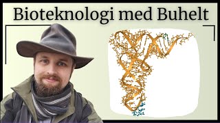 Bioteknologi  DNA og biologiens centrale dogme [upl. by Hazen415]