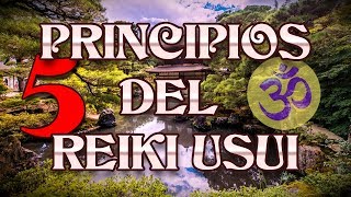 Los 5 principios del Reiki Usui  La clave para ser feliz [upl. by Ztnahc]