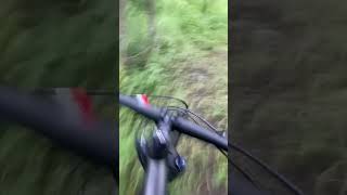 Riding trails and hitting jumps biking specialized ￼ [upl. by Driskill]