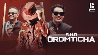 Desu Ambo ft Sayyoo Dandanaa Oromtichaa New Oromo music 2024 [upl. by Ellerret]