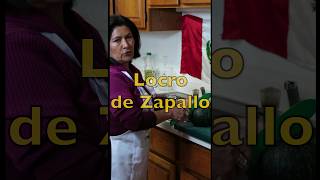 Como hacer Locro de Zapallo  Comida Peruana  Receta Auténtica  DELICIOSO  Cooking with Suegz [upl. by Farrar]