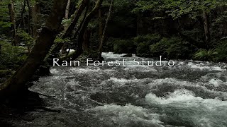 Oirase Gorge 4K [upl. by Harcourt]