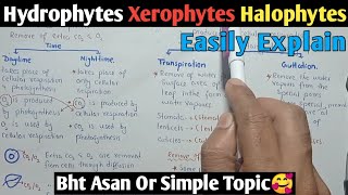 Osmotic Adjustment In Plants  Hydrophytes Xerophytes amp Halophytes  Class 10 Biology [upl. by Gemina]