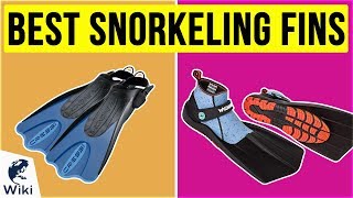 10 Best Snorkeling Fins 2020 [upl. by Partridge]