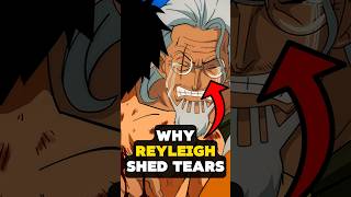 Why Rayleigh Cried When He Saw Luffy onepiece oda rayleigh [upl. by Llemmart]