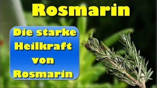 Rosmarin – die starke Heilkraft von Rosmarin – nicht nur zur Steigerung der Gedächtnisleistung [upl. by Joliet]