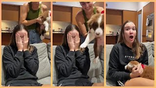 New Puppy Surprise Compilation 2024  Wholesome Surprise Moments [upl. by Netsriik]