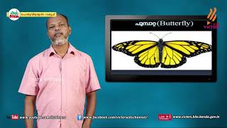 KITE VICTERS STD 08 Biology Class 16 First Bellഫസ്റ്റ് ബെല്‍ [upl. by Ashman]