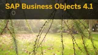 SAP BusinessObjects 41 [upl. by Zahc]