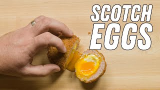 Scotch Eggs [upl. by Amsirak140]