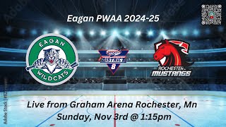 Eagan PWAA v Rochester 11324 [upl. by Yorgo]