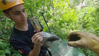 Canopy River Zipline with GoPro  Puerto Vallarta Mexico Zip Line [upl. by Goldman]