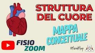 Struttura del cuore FisioMap [upl. by Phi]