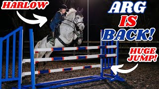 HARLOW JUMPS ARG WOW TOP TRACK 138CM SHOWJUMPING PONY [upl. by Currey]