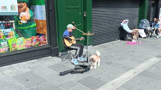 A flavour of the Fleadh Mullingar 13th August 2023  4 [upl. by Neenej]