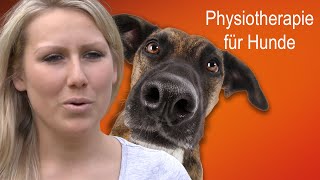 Physiotherapie für Hunde  Praxis Pfote [upl. by Teyut]