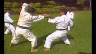 Bassai Sho Kenneth Funakoshi inc Bunkai [upl. by Eugenius514]