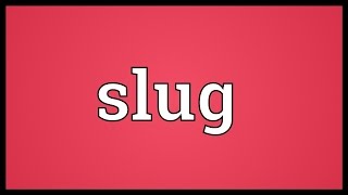 Slug Meaning [upl. by Atilrak]