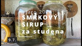 SMRKOVÝ SIRUP za studena [upl. by Ahtabat]