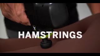 IMPACT Percussion Massage Hamstrings [upl. by Marina765]