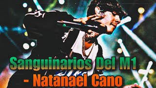 Sanguinarios Del M1  Natanael Cano [upl. by Nahsyar]