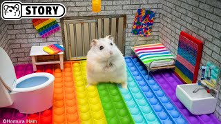 🐹 Hamster Escapes the Pop It Maze for Pets in real life 🐹 Homura Ham [upl. by Roxane]