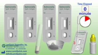 Salmonella typhi Antigen Test [upl. by Ylrad]