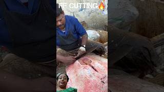 Stingray fish cuttingfishcuttingskill greenscreeen youtubeshorts [upl. by Akihsar]