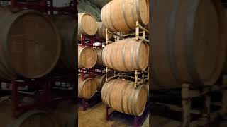 BEST Winery in Texas Hawks Shadow Vineyard Tour and Tasting [upl. by Ahsekat]