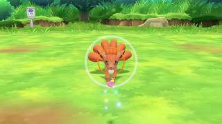 Pokemon Lets go Eevee Where to catch Vulpix [upl. by Major]