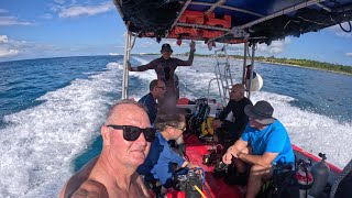 Veterans Day Dive Cozumel 2024 [upl. by Winny]