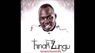 Babusisiwe  Thinah Zungu ft Dumi Mkokstad [upl. by Naicad]