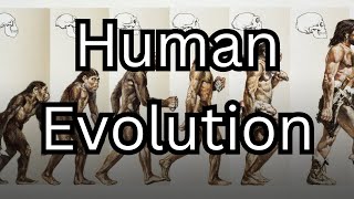 Human Evolution From Past to Future  Story Time with Philip [upl. by Inaffets480]